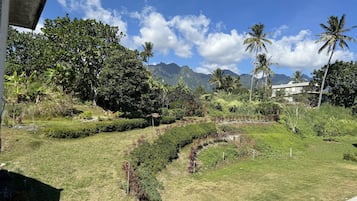 庭園