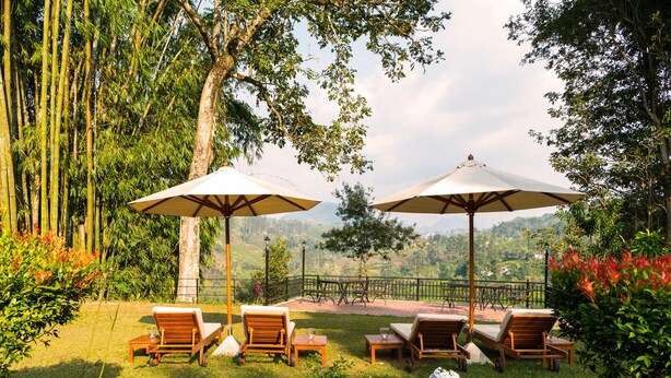 A garden with outdoor seating and umbrellas, surrounded by trees and flowers. - Strathdon by Zinc Journeys (Ginigathena)