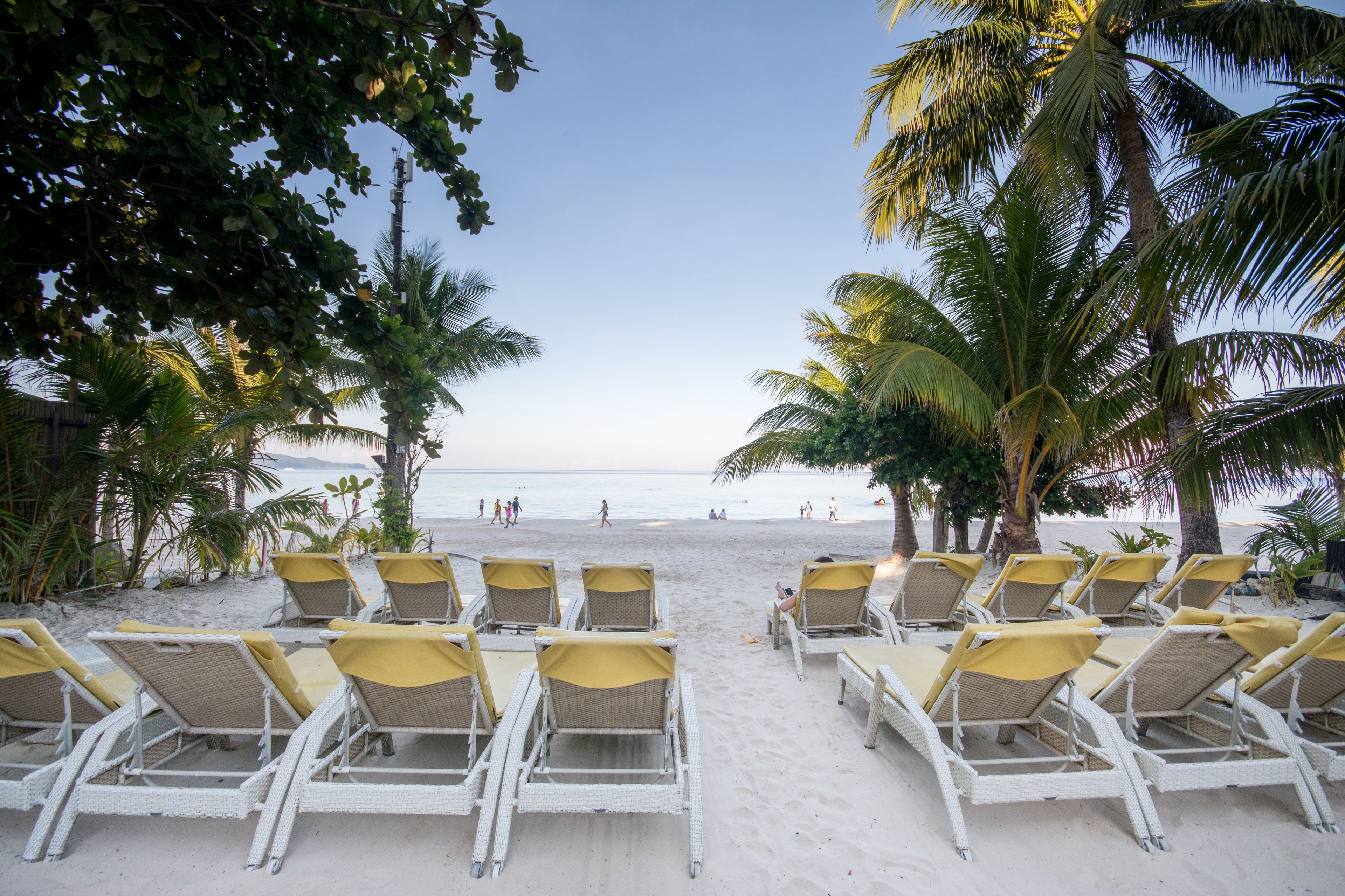 Un salón junto a la playa con filas de tumbonas y palmeras.