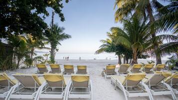 Un salón junto a la playa con filas de tumbonas y palmeras.