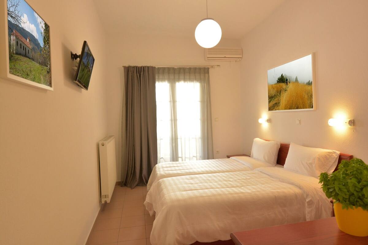 classic double or twin room | room amenity