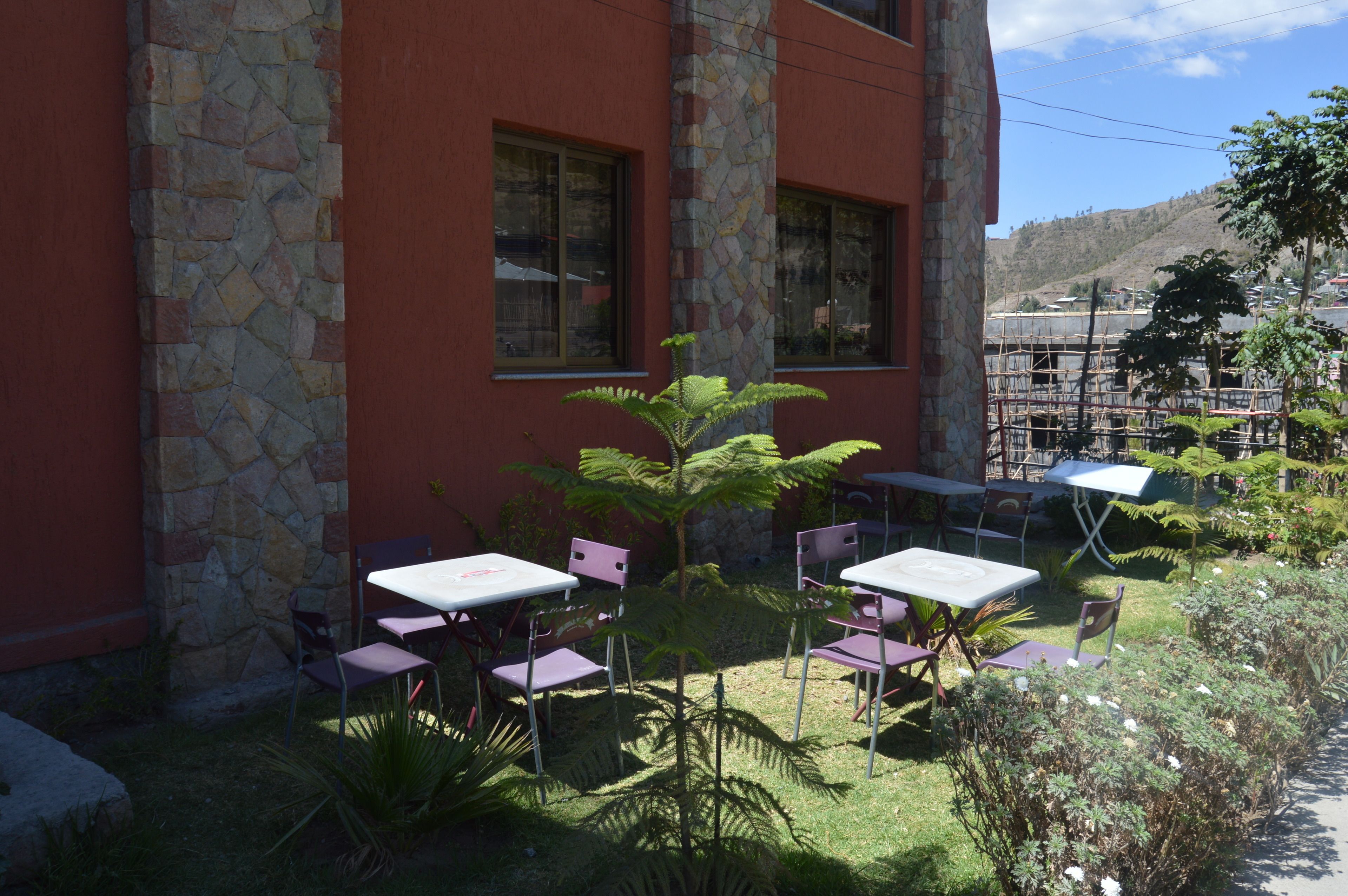 International cuisine