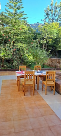 International cuisine