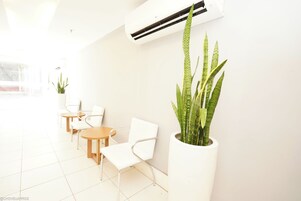 Recepción