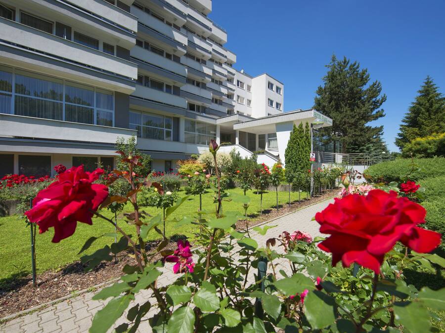 A modern hotel with a multi-story structure, a well-maintained garden with red roses, and a clear blue sky.