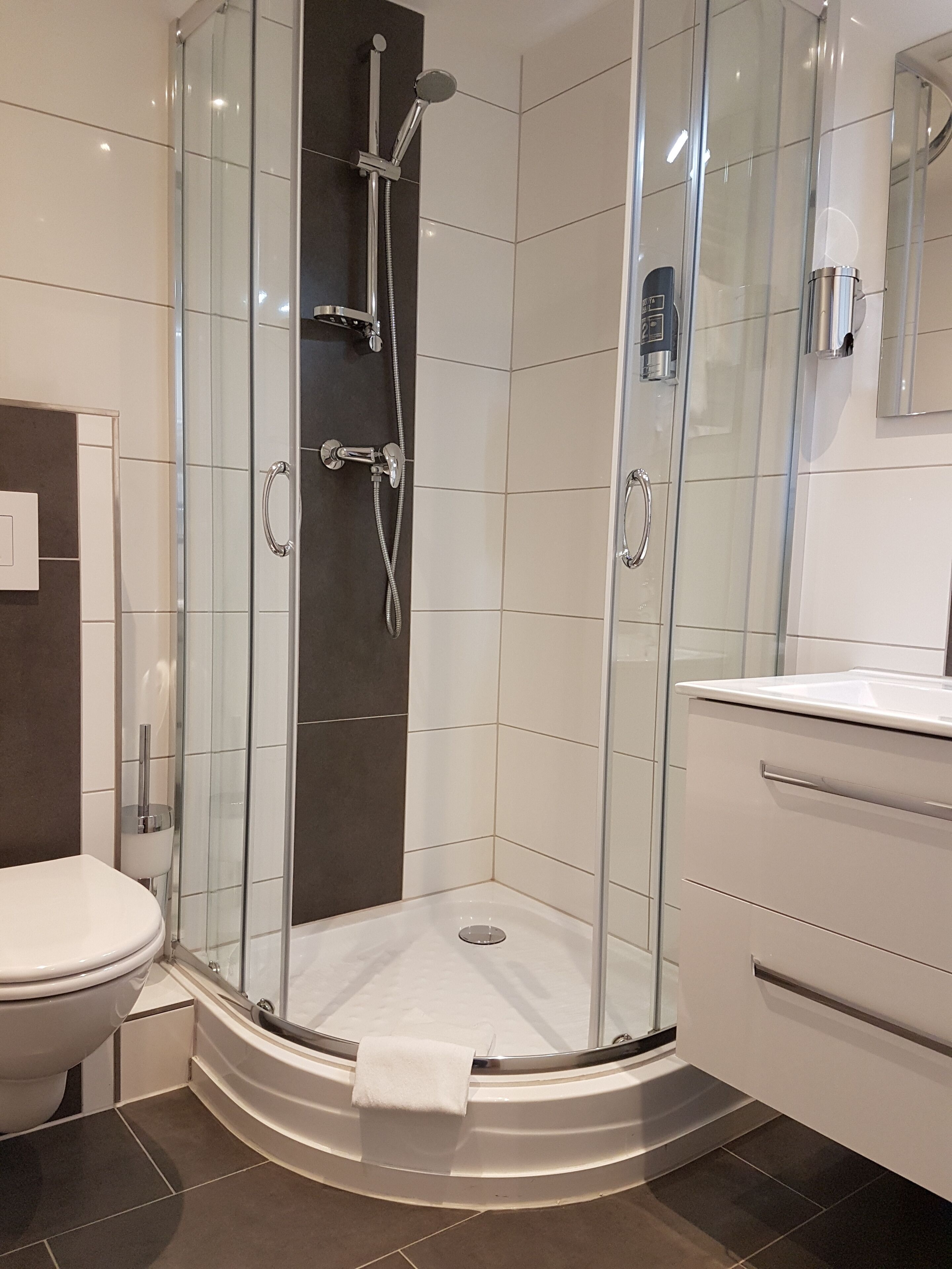A modern bathroom with a glass-enclosed shower, a toilet, and a vanity with a mirror.