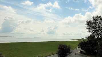 Eksteriør