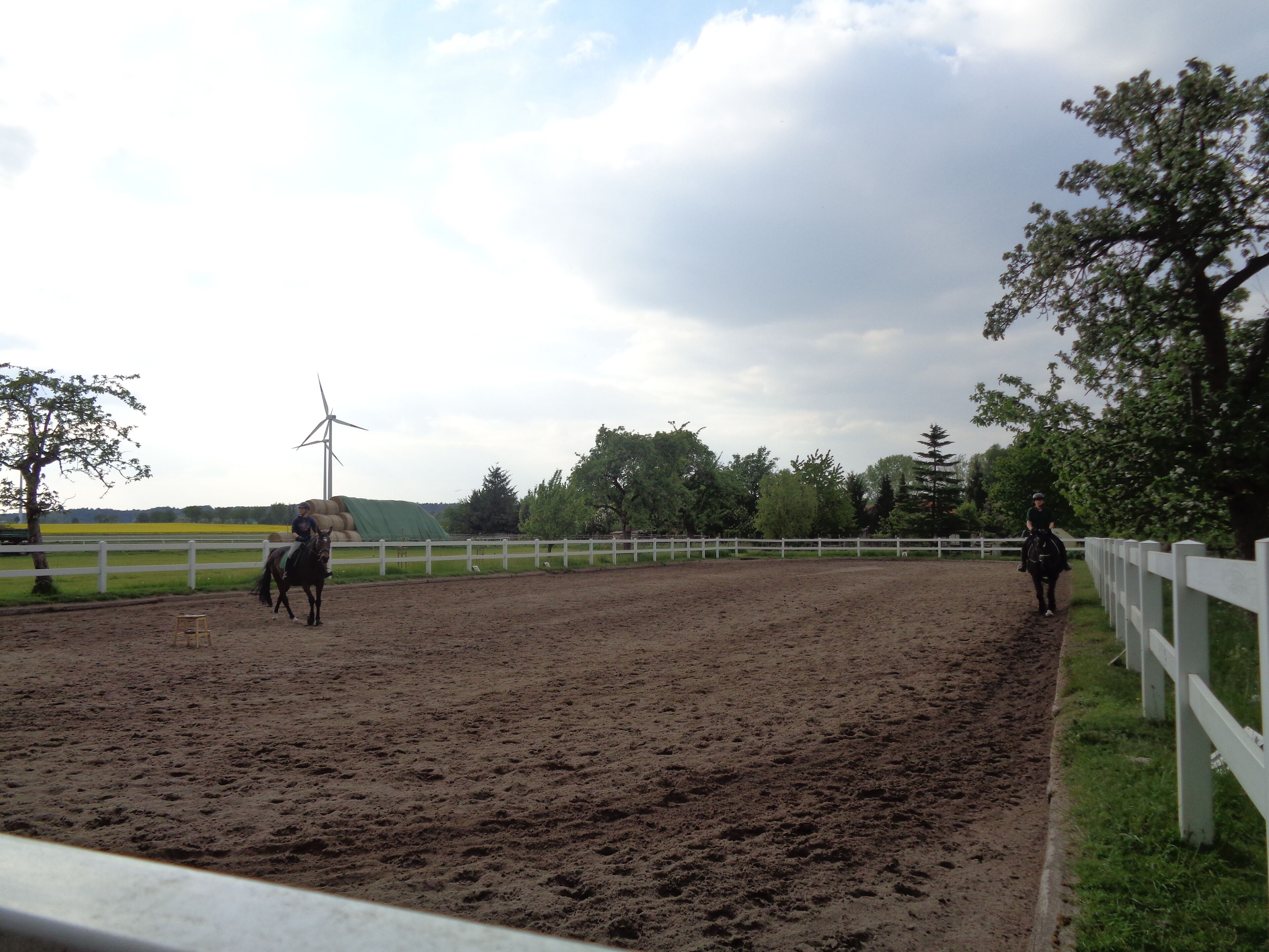 An indoor riding arena with a dirt floor, white fences, and trees in the background.