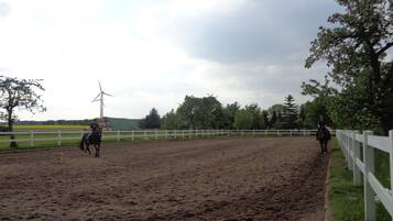 An indoor riding arena with a dirt floor, white fences, and trees in the background.