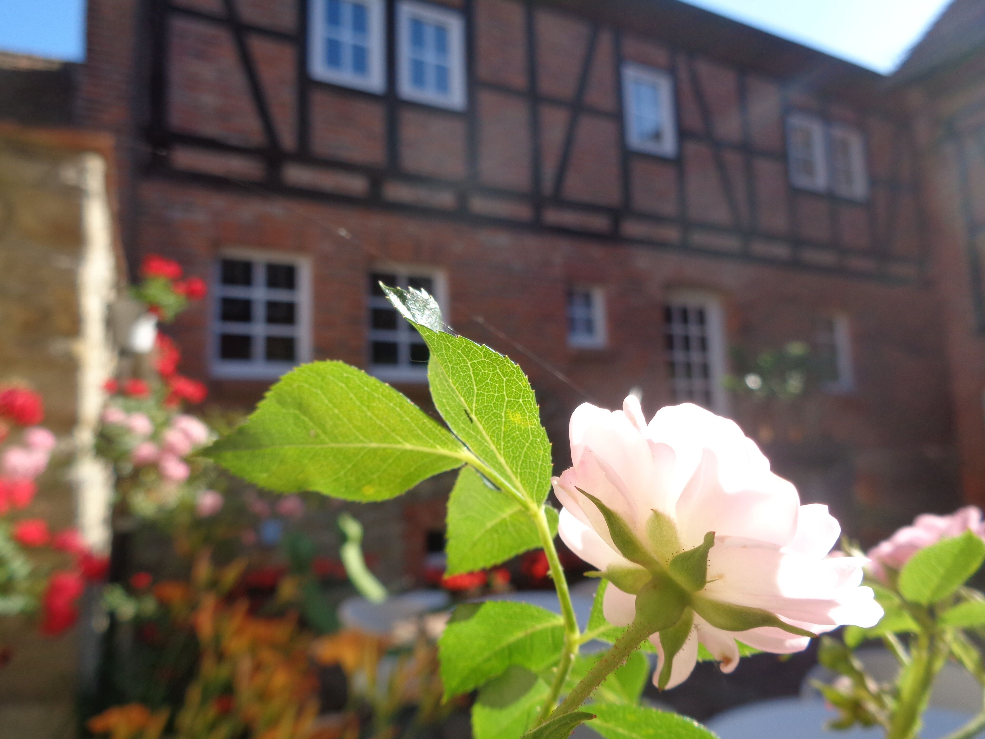 Detail eksterior