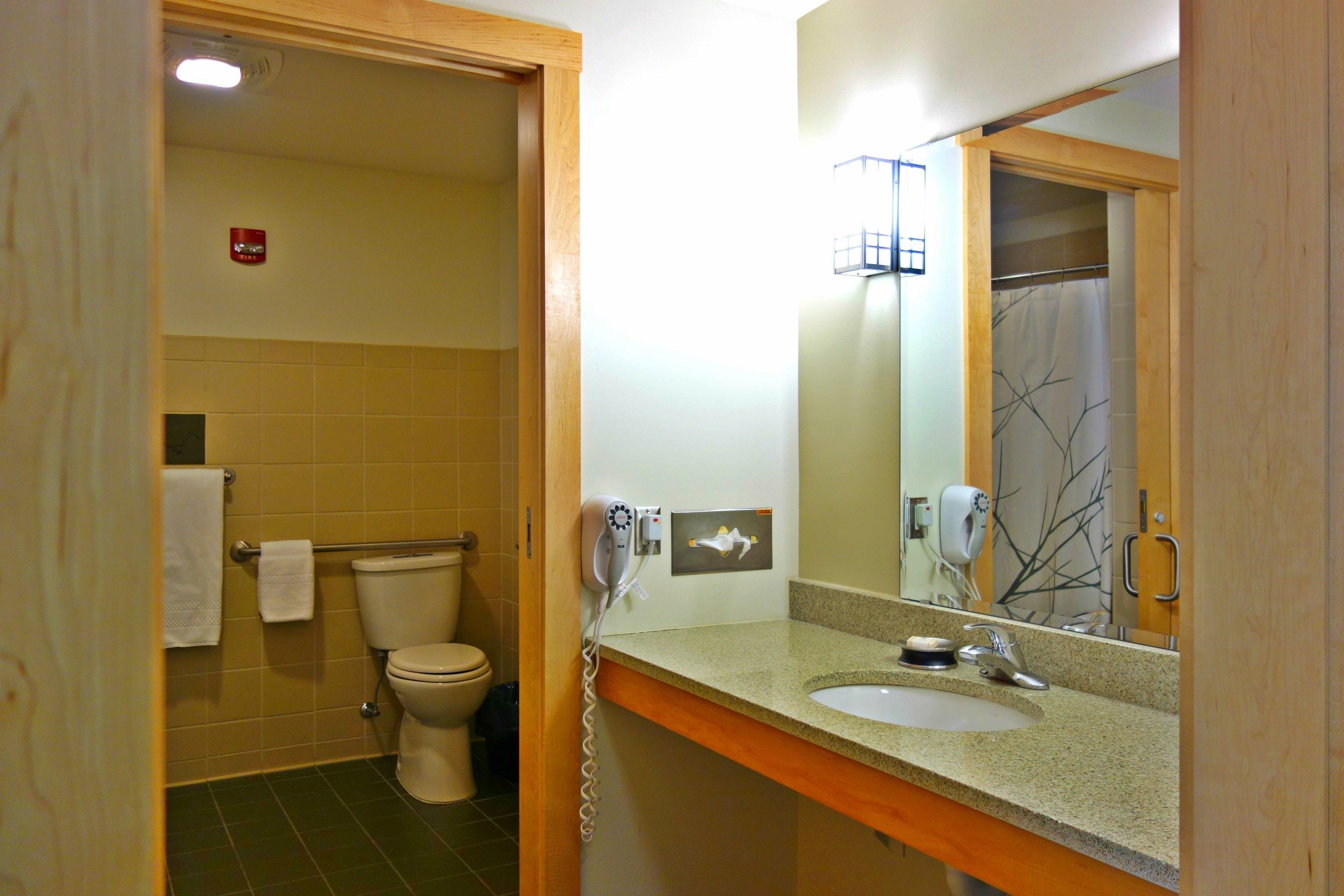 combined shower/bathtub, free toiletries, hair dryer, towels