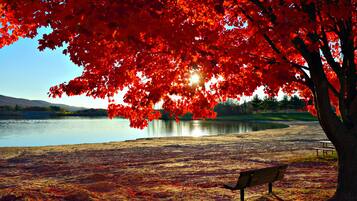 Beach nearby, water skiing, windsurfing, sailing
