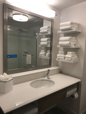 Bathroom features a large mirror, glass-enclosed shower, and a toilet.