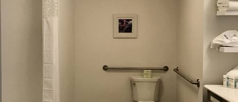 Een kleine, compacte badkamer met toilet, douche met witte gordijn, een handgreep en een klein fotolijstje aan de muur.
