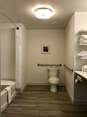 Bathroom features a toilet, shower, and handrail for accessibility.