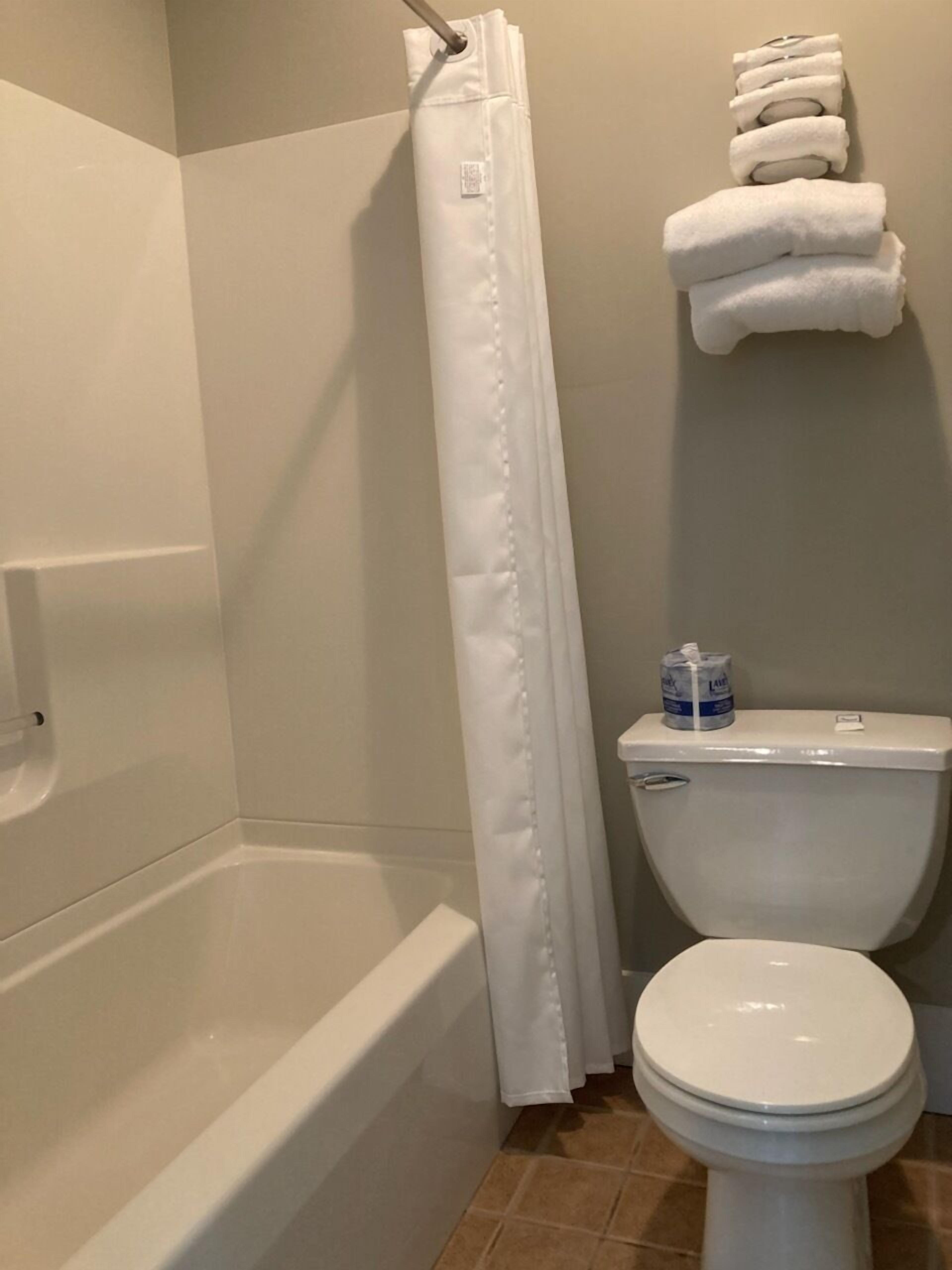 A bathroom with a bathtub, toilet, and a shower curtain.