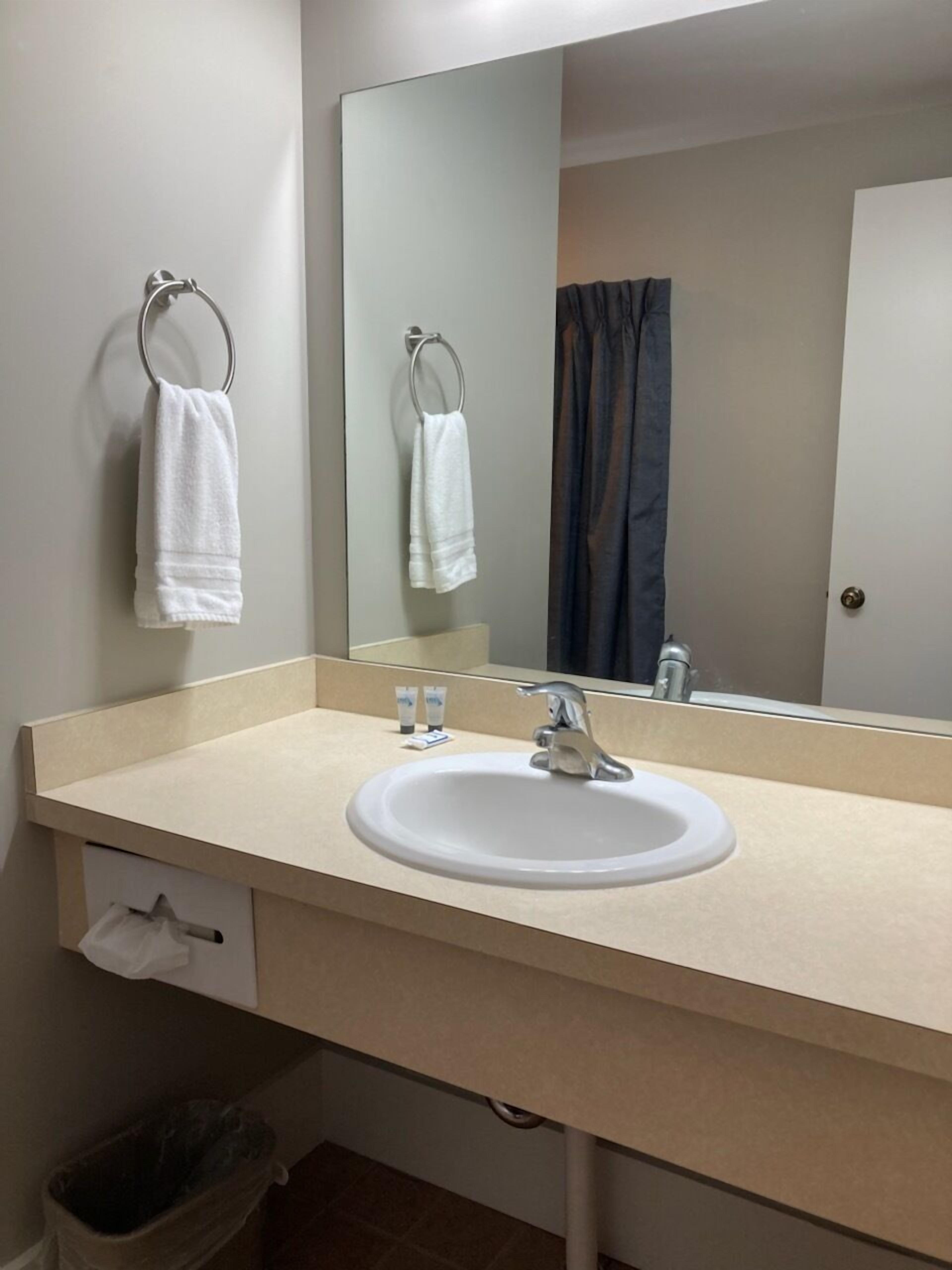 Un baño con lavabo, espejo, toallero y cubo de basura.