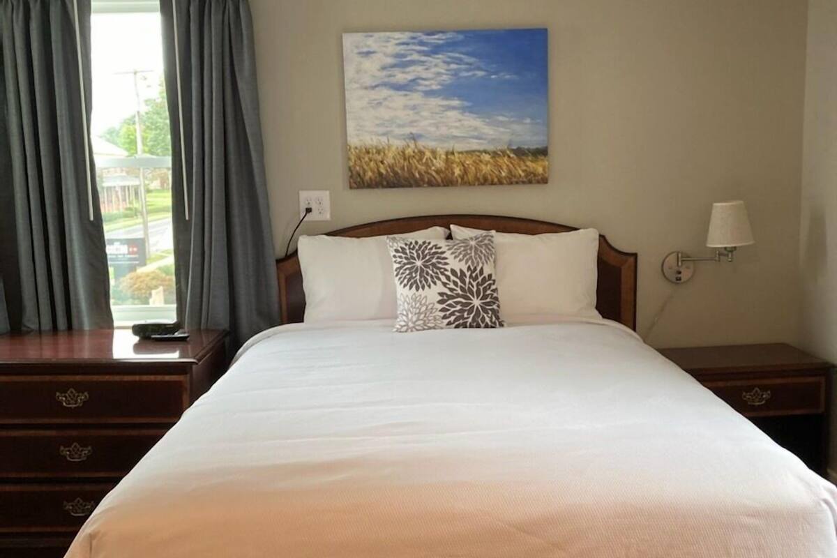 A hotel room with a large bed, a nightstand, a lamp, a painting of a field, and a view of the outdoors through the window.