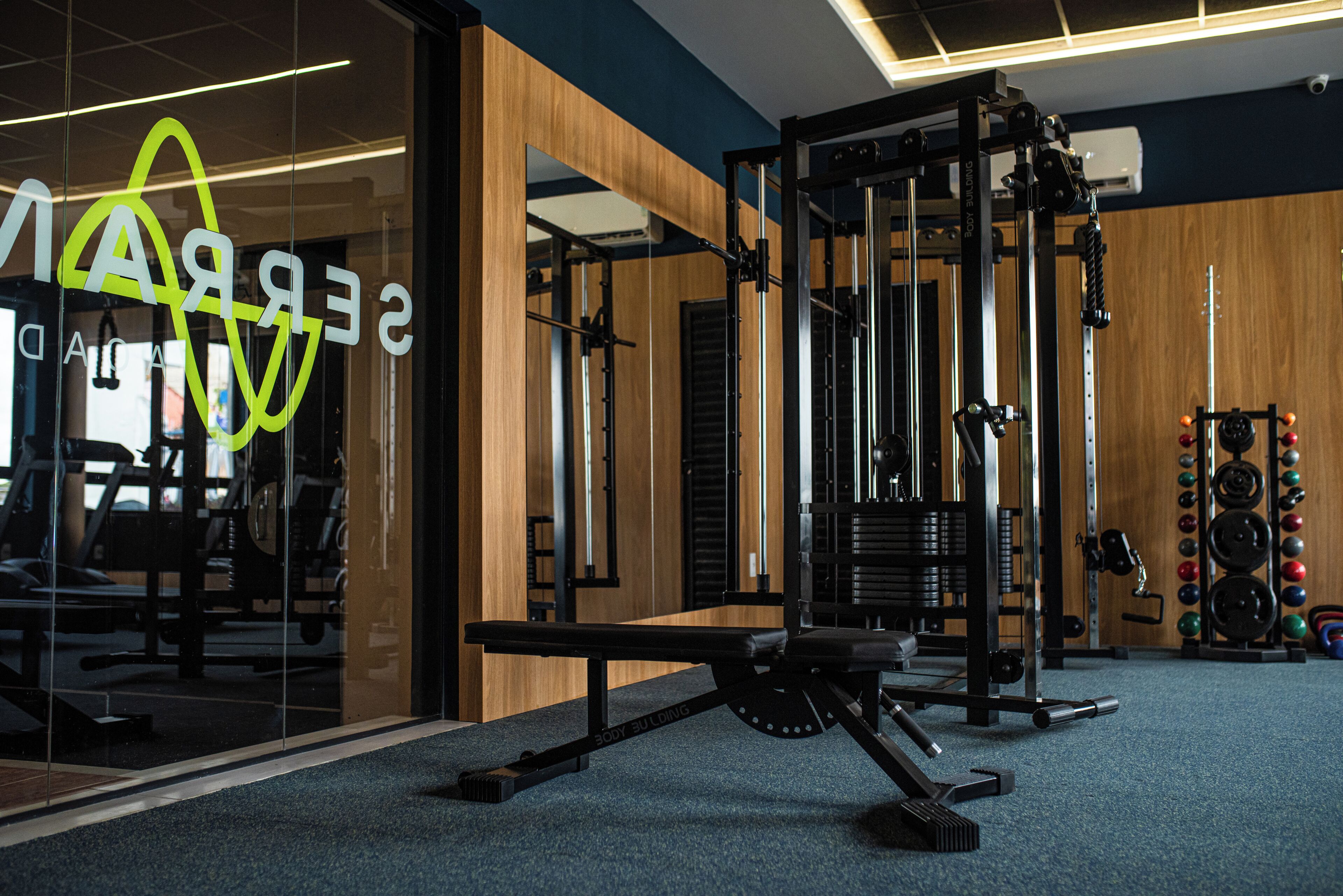 A gym with exercise equipment, a bench, and a weight rack.