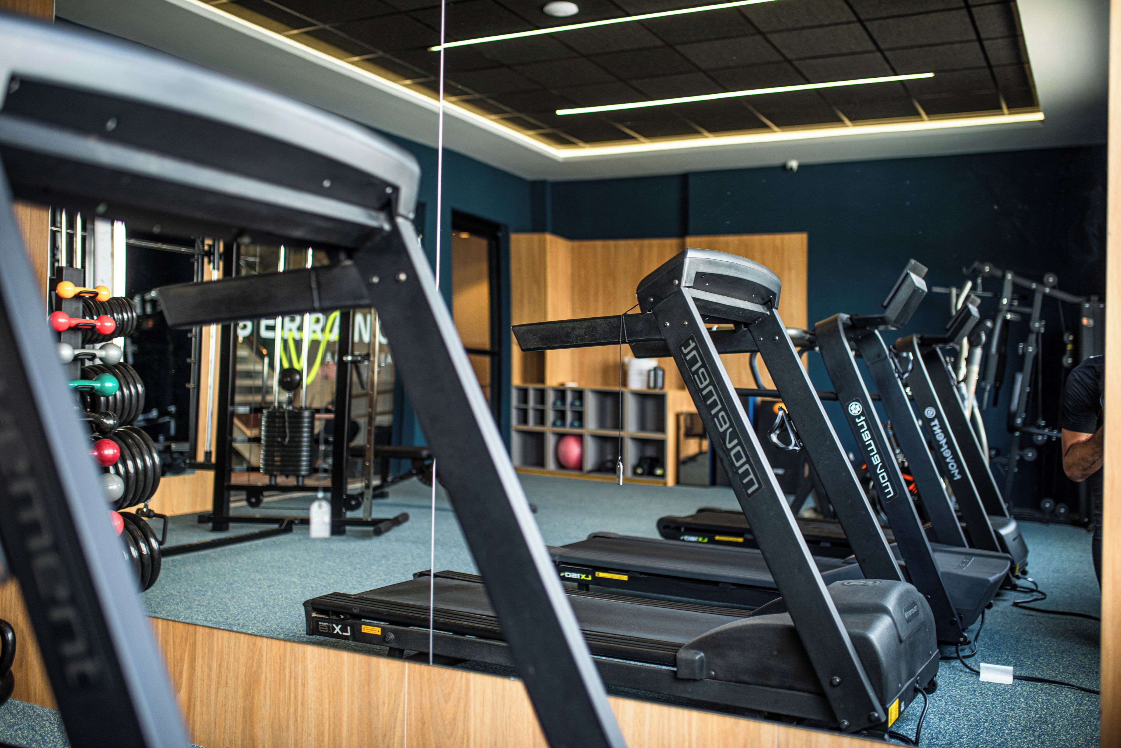 Un gimnasio con cintas de correr, máquinas de pesas y pesas libres.