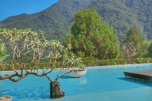 Zona de piscina con deck de madera, una planta en maceta y vistas a un paisaje montañoso.