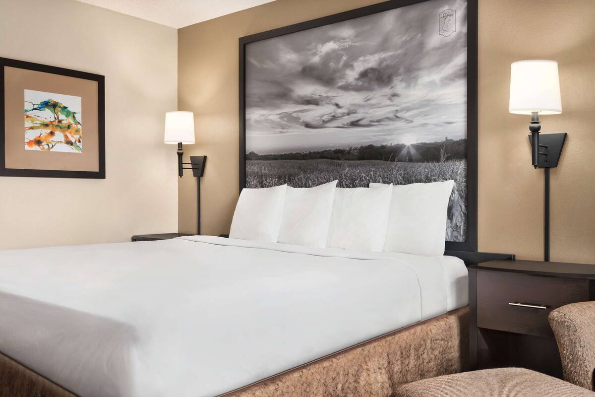 Habitación de hotel con una cama grande, dos lámparas de noche, una mesita y un cuadro en la pared.