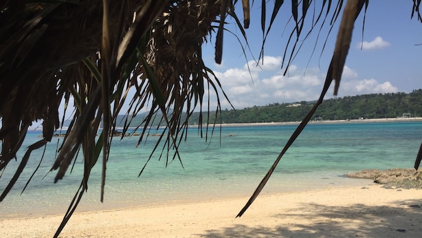 Una playa con agua turquesa cristalina, orilla de arena y una vista de una zona boscosa distante.