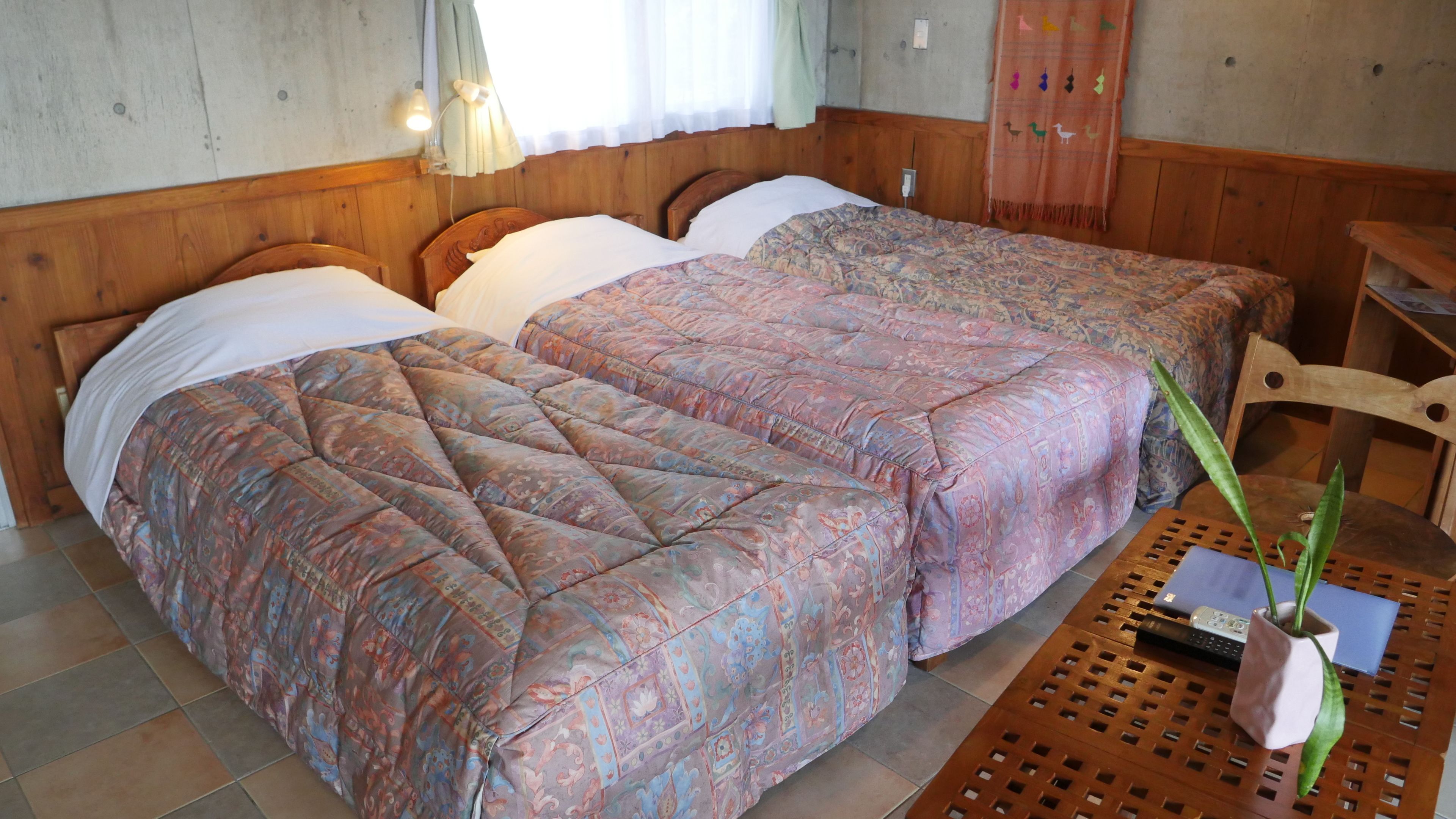 Une chambre avec deux lits, des têtes de lit en bois, une petite table sur laquelle est posée une plante en pot et une chaise.
