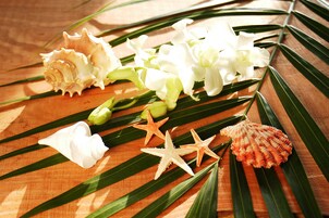 A wooden surface with seashells, starfish, and white flowers.