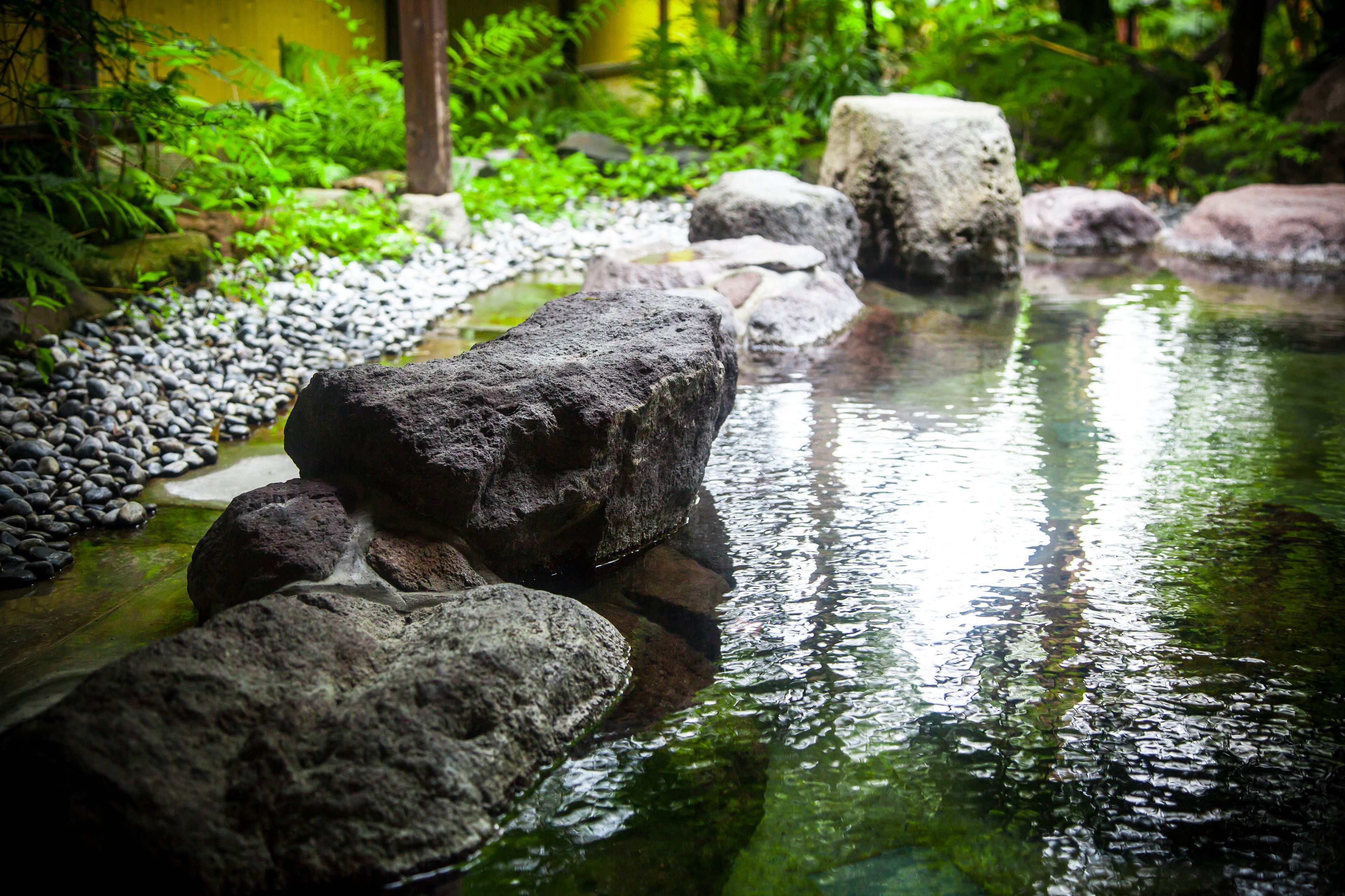 A tranquil garden with a small pond, surrounded by rocks and lush greenery.