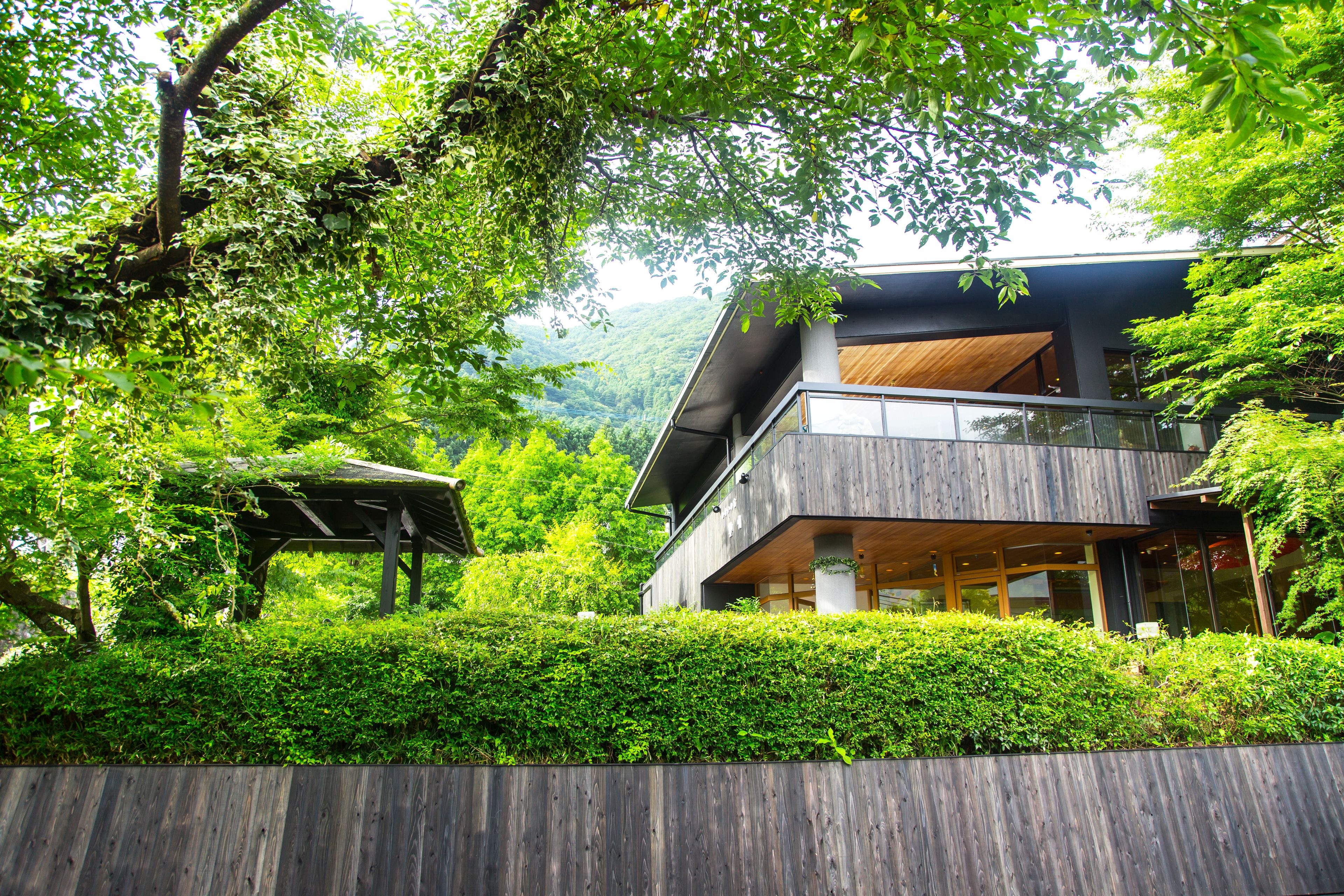 Un edificio moderno con terraza de madera, rodeado de vegetación exuberante y colinas al fondo.