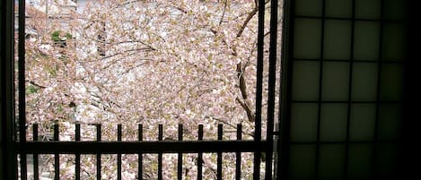 Vista desde la habitación