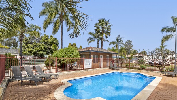 A rectangular swimming pool with a tiled deck, surrounded by a fence and palm trees. - Central Caravan Park (Ascot)
