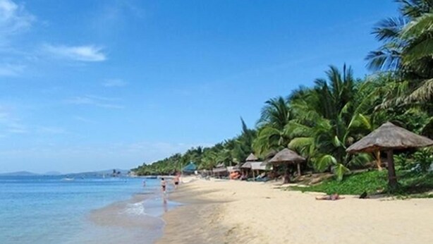 A beach with thatched-roof huts, palm trees, and a clear blue sky. - The House 36 (Da Nang)