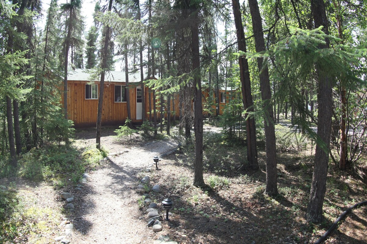 A cabin with a dirt path leading to it, surrounded by tall trees.