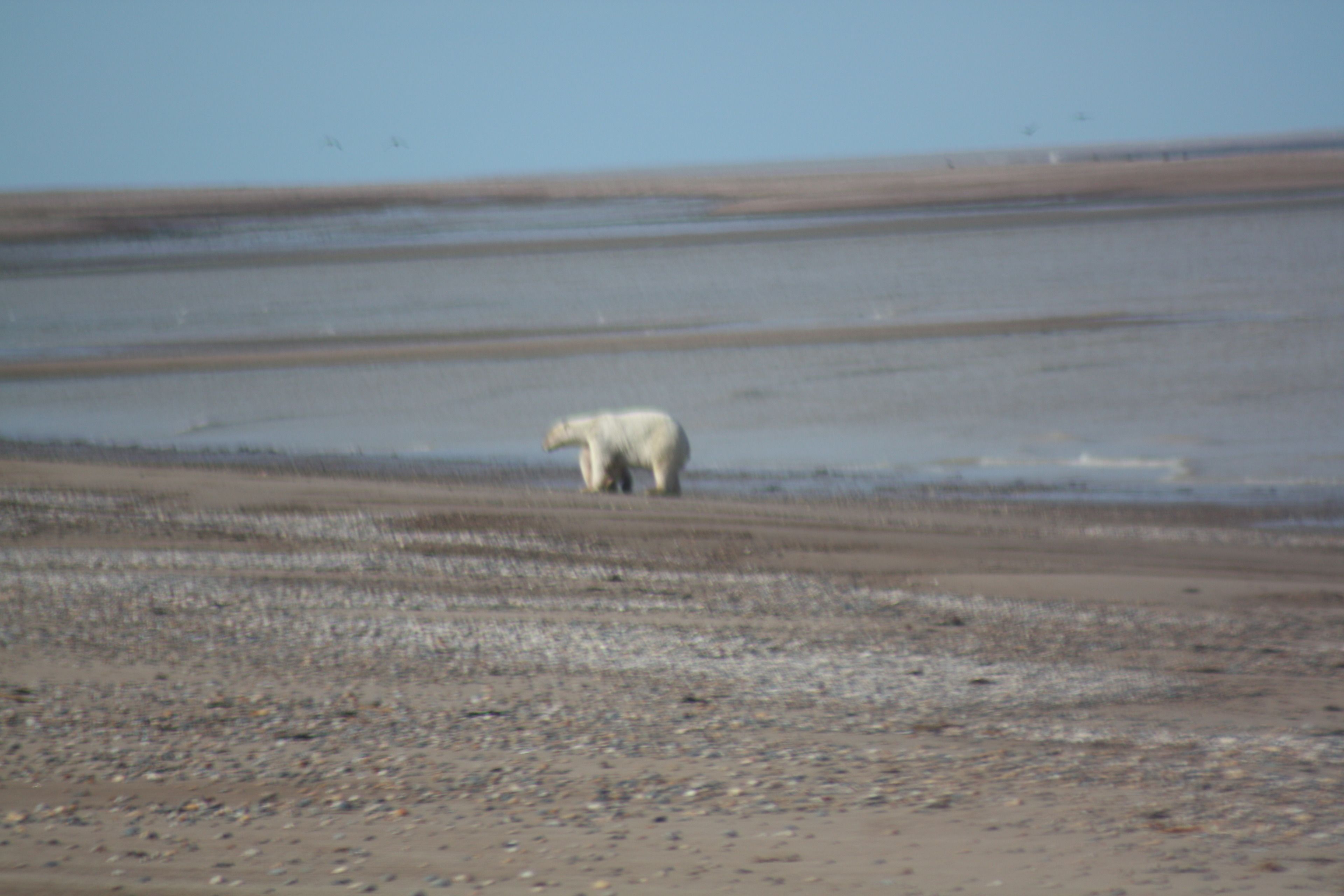 Vista desde la propiedad