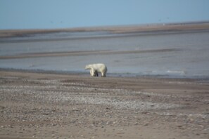 Utsikt från boendet