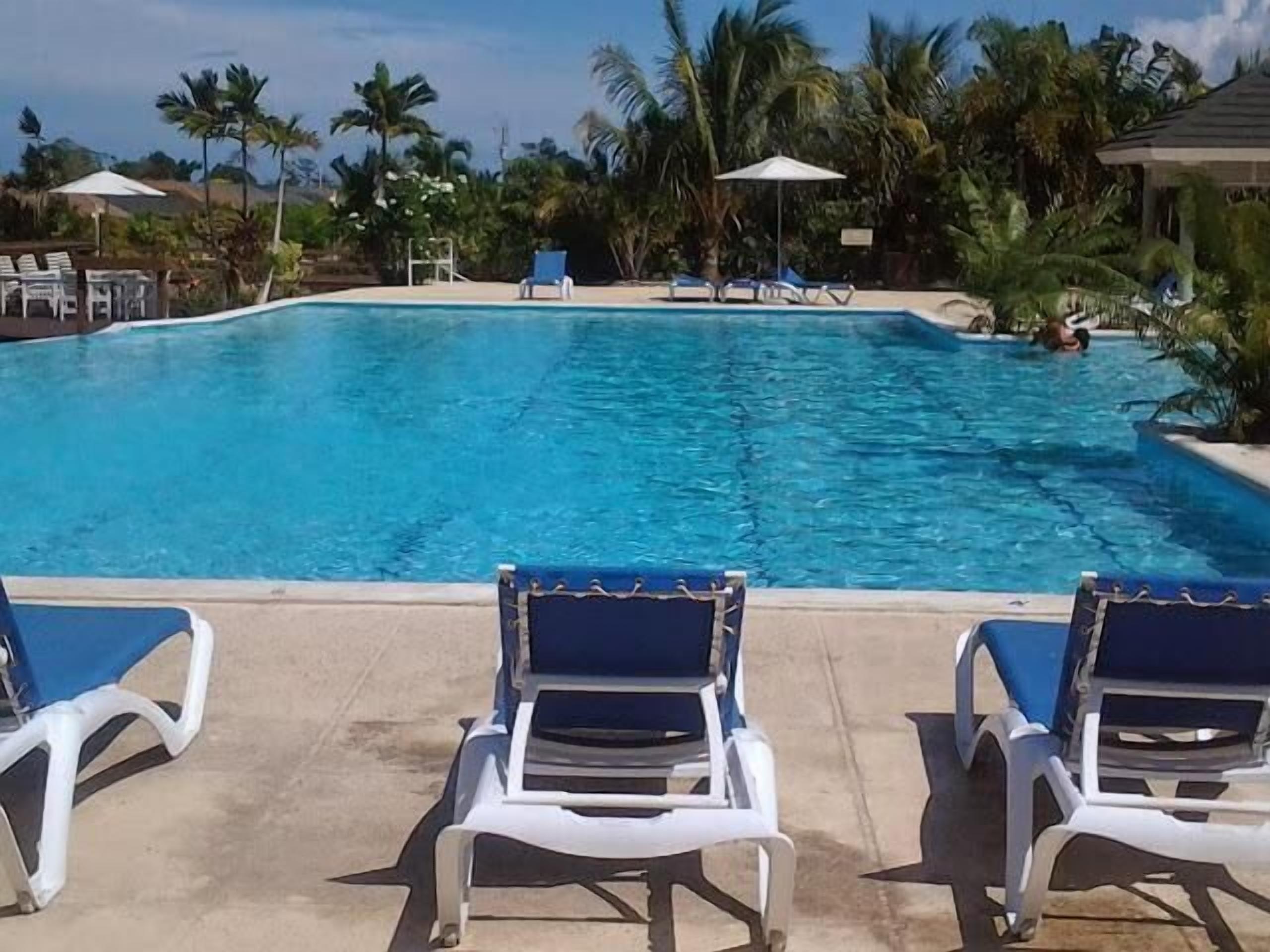 A swimming pool with lounge chairs and palm trees in the background.