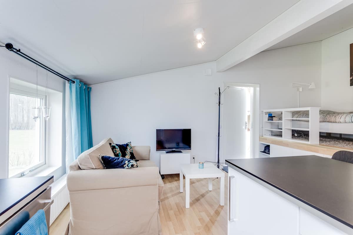 A modern, compact living space with a sofa, TV, kitchenette, and a dining area.