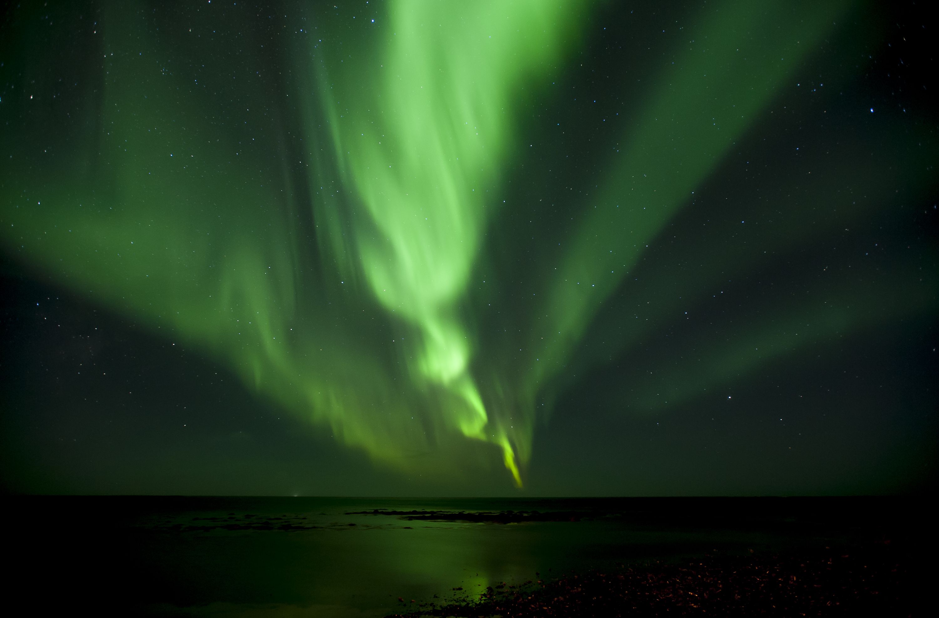 Foto - Tower Suites Reykjavík