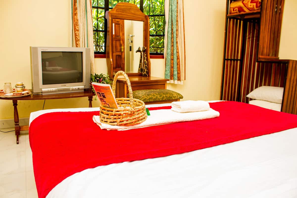 Quarto de hotel com uma cama, televisão, cadeira de madeira e janela com cortinas.