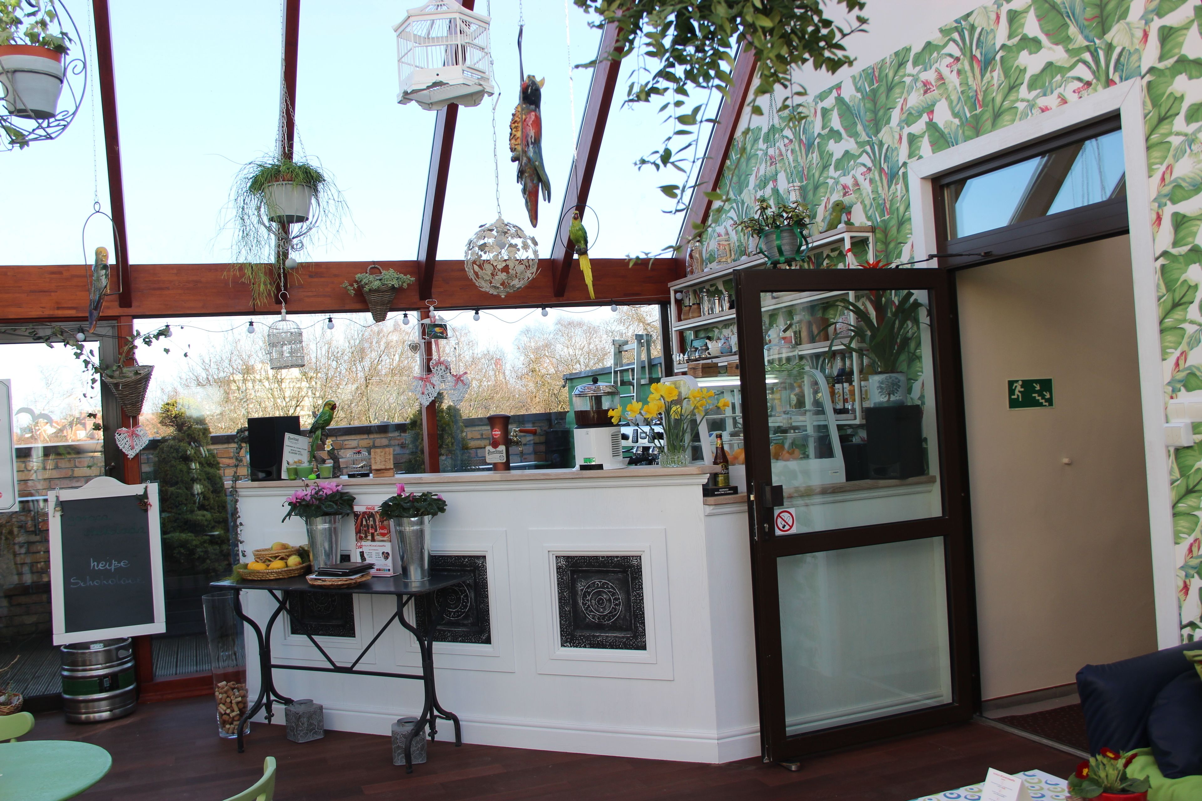 A café with a wooden ceiling, hanging plants, and a counter with various items.