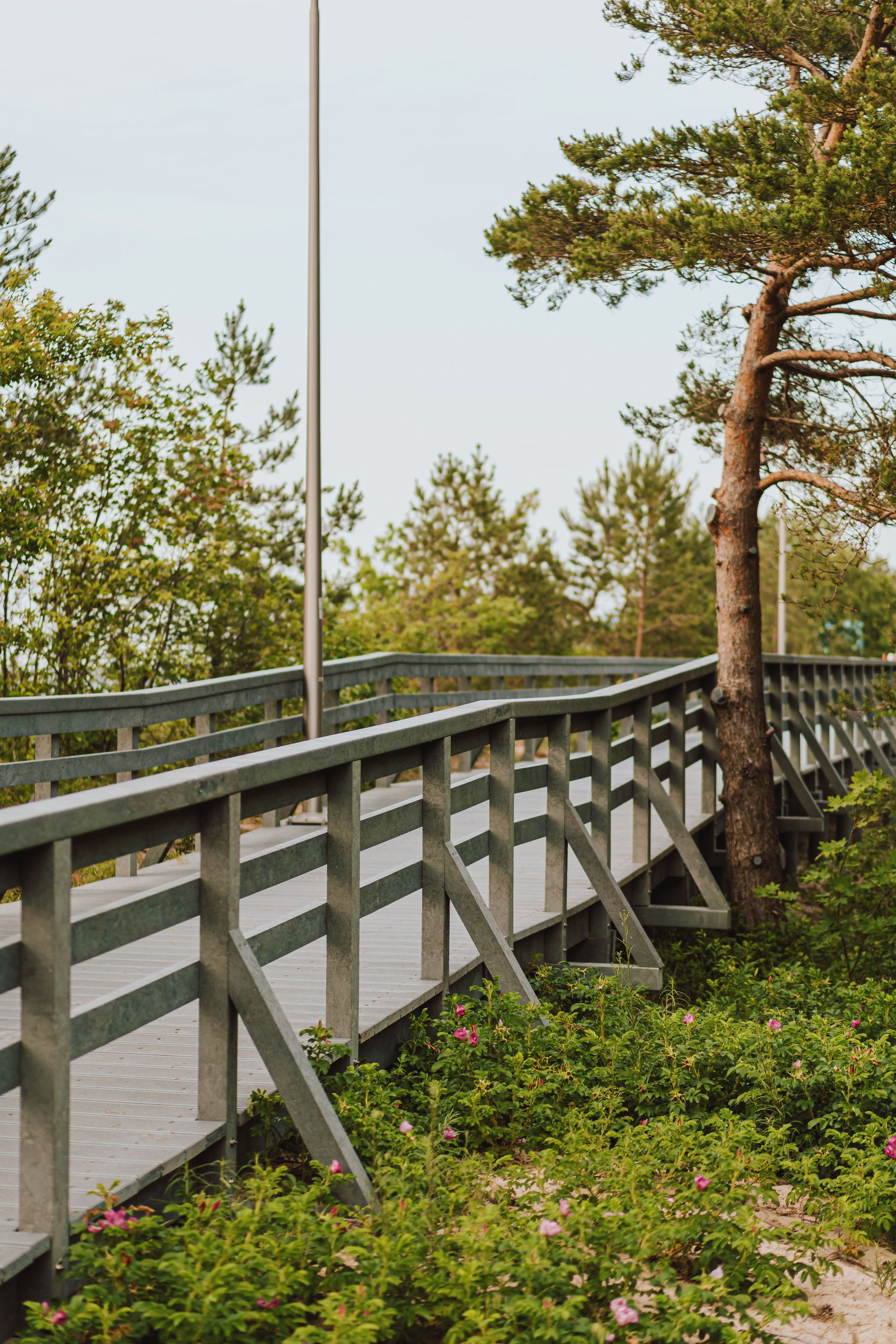 بالقرب من الشاطئ