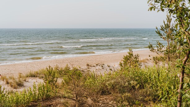 A beach with waves, sand, and sparse vegetation. - OW Gromada Apartamenty (Miedzyzdroje)