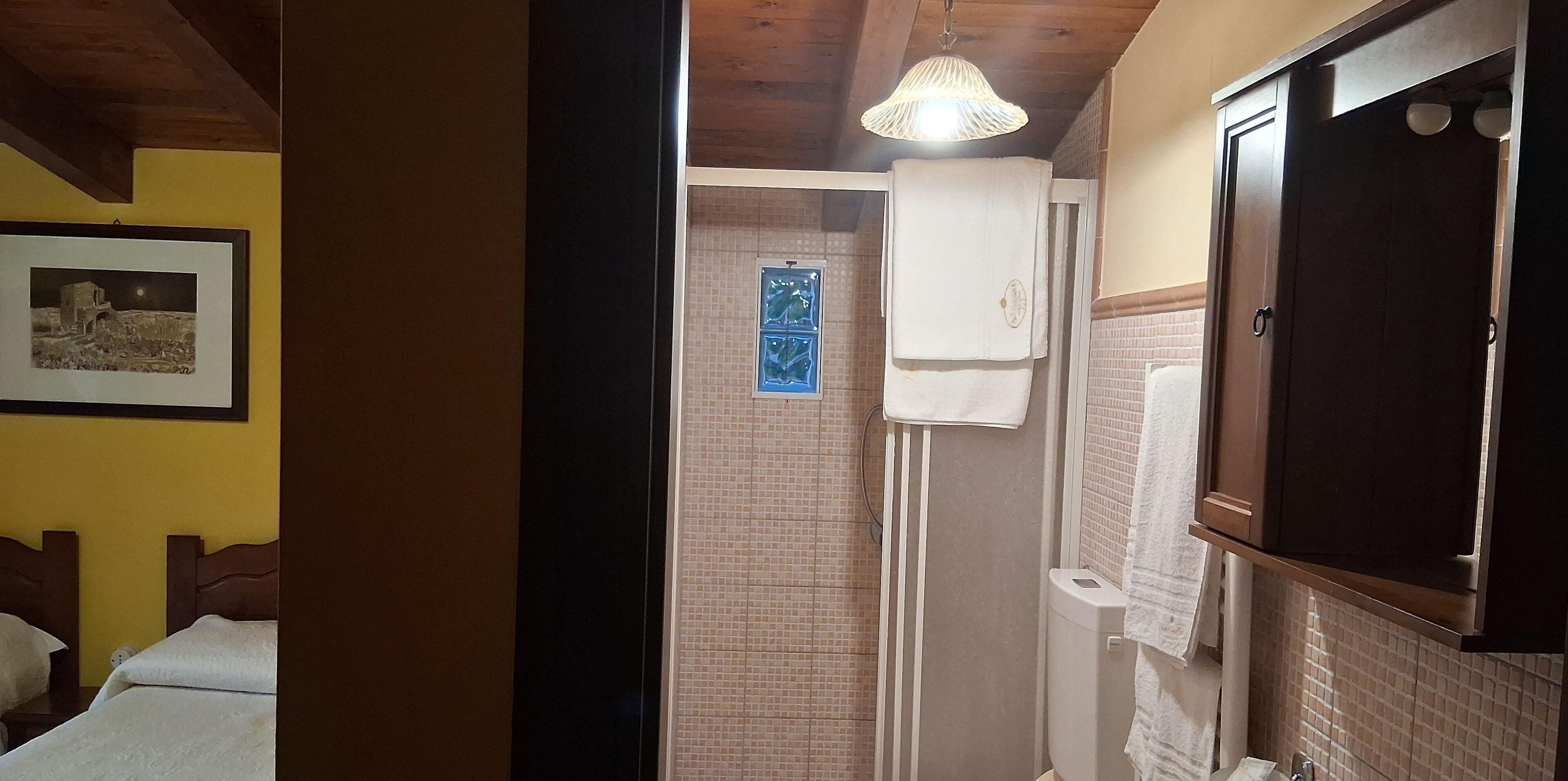 A bedroom with two beds, a wooden ceiling, a framed picture on the wall, and a bathroom with a shower, toilet, and towel hanging on the wall.