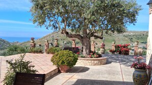 Una terraza con plantas en macetas, un árbol grande y vista al mar.