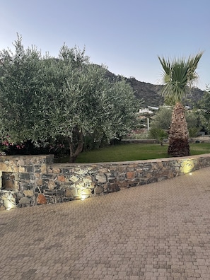 Exterior - Villa Proistakis (Ierapetra)