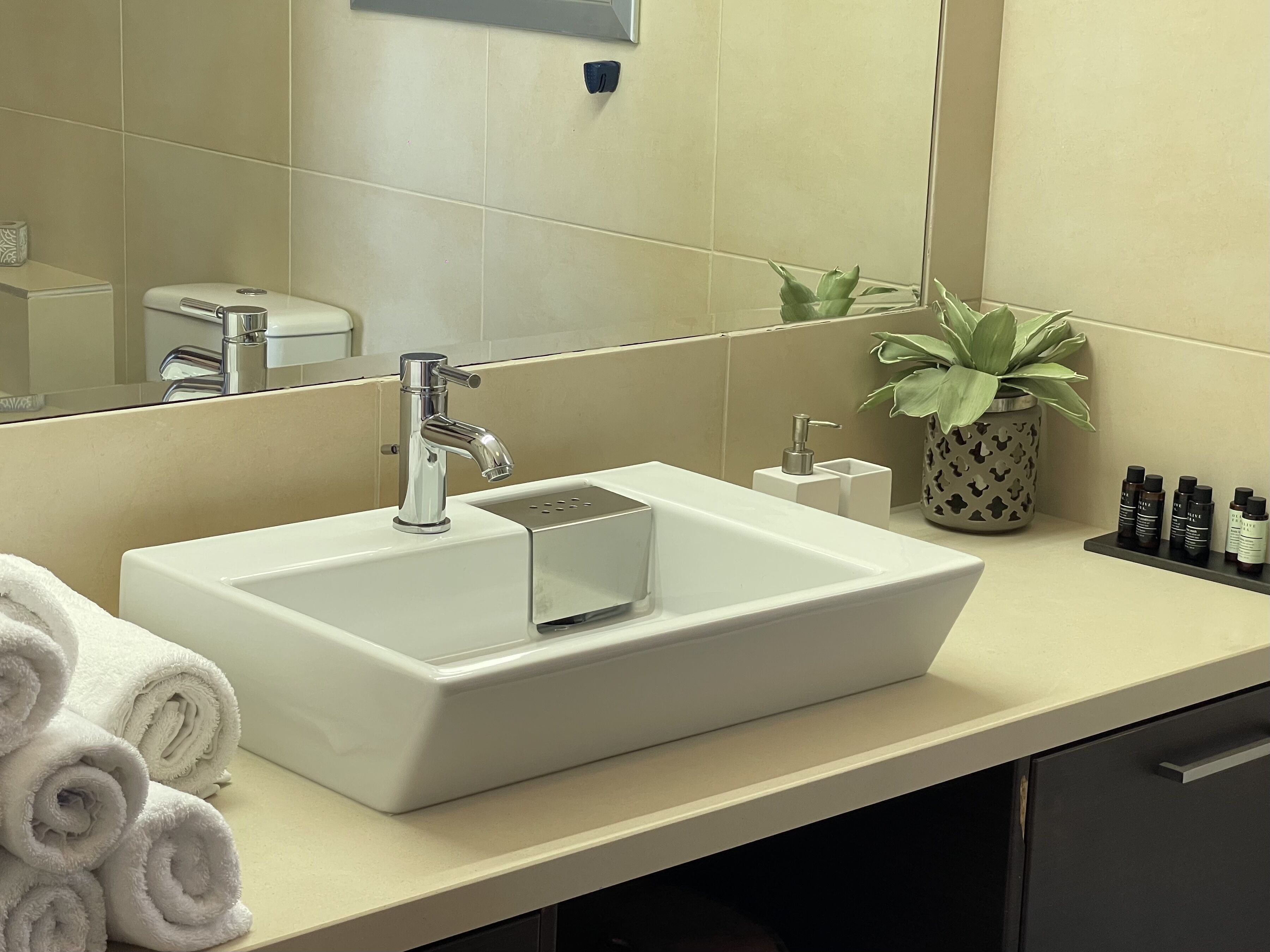 Un baño moderno con un lavabo rectangular, un espejo, una planta en maceta y toallas enrolladas con cuidado en el mostrador.