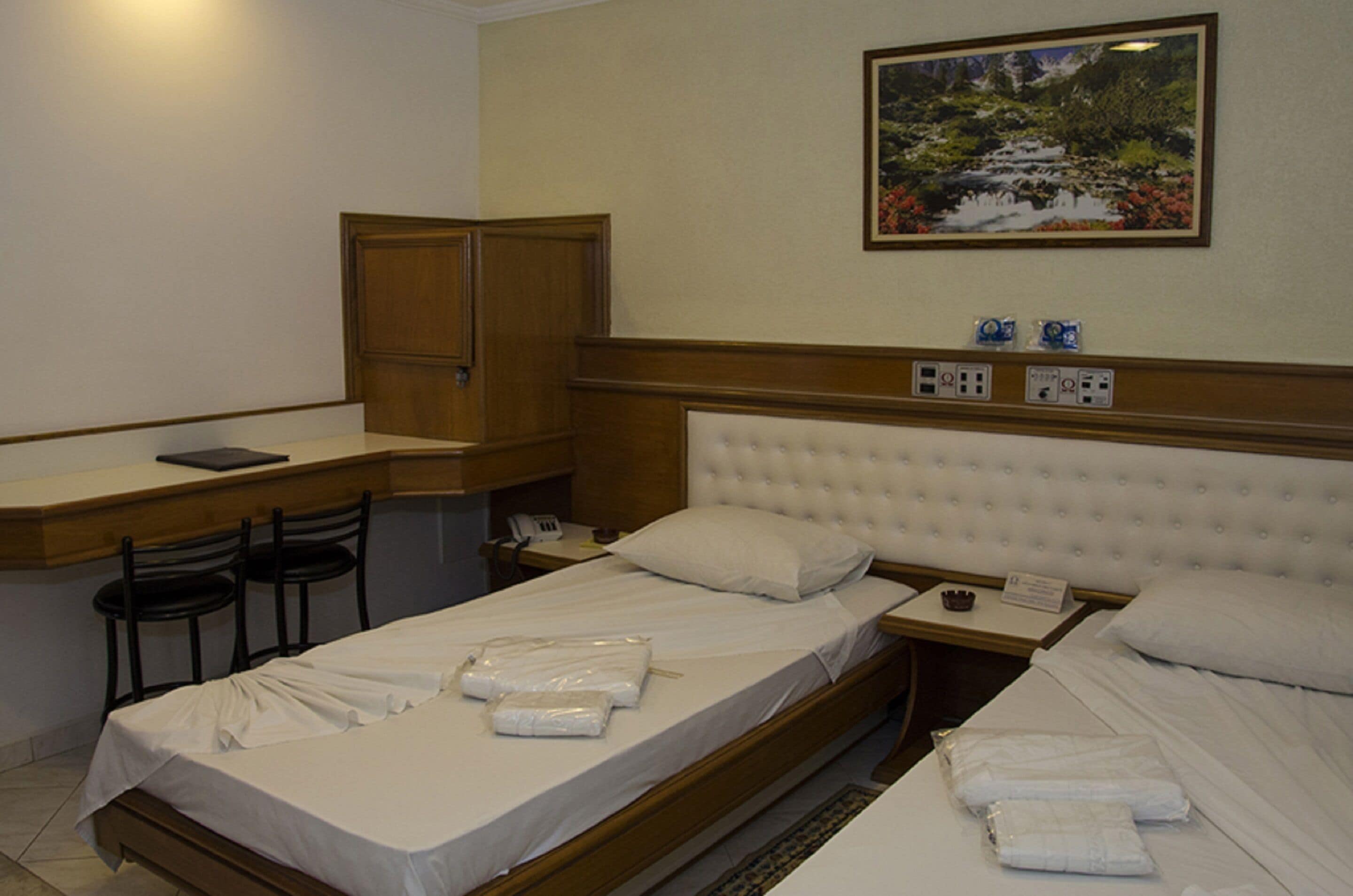 Foto - Omega Palace Hotel