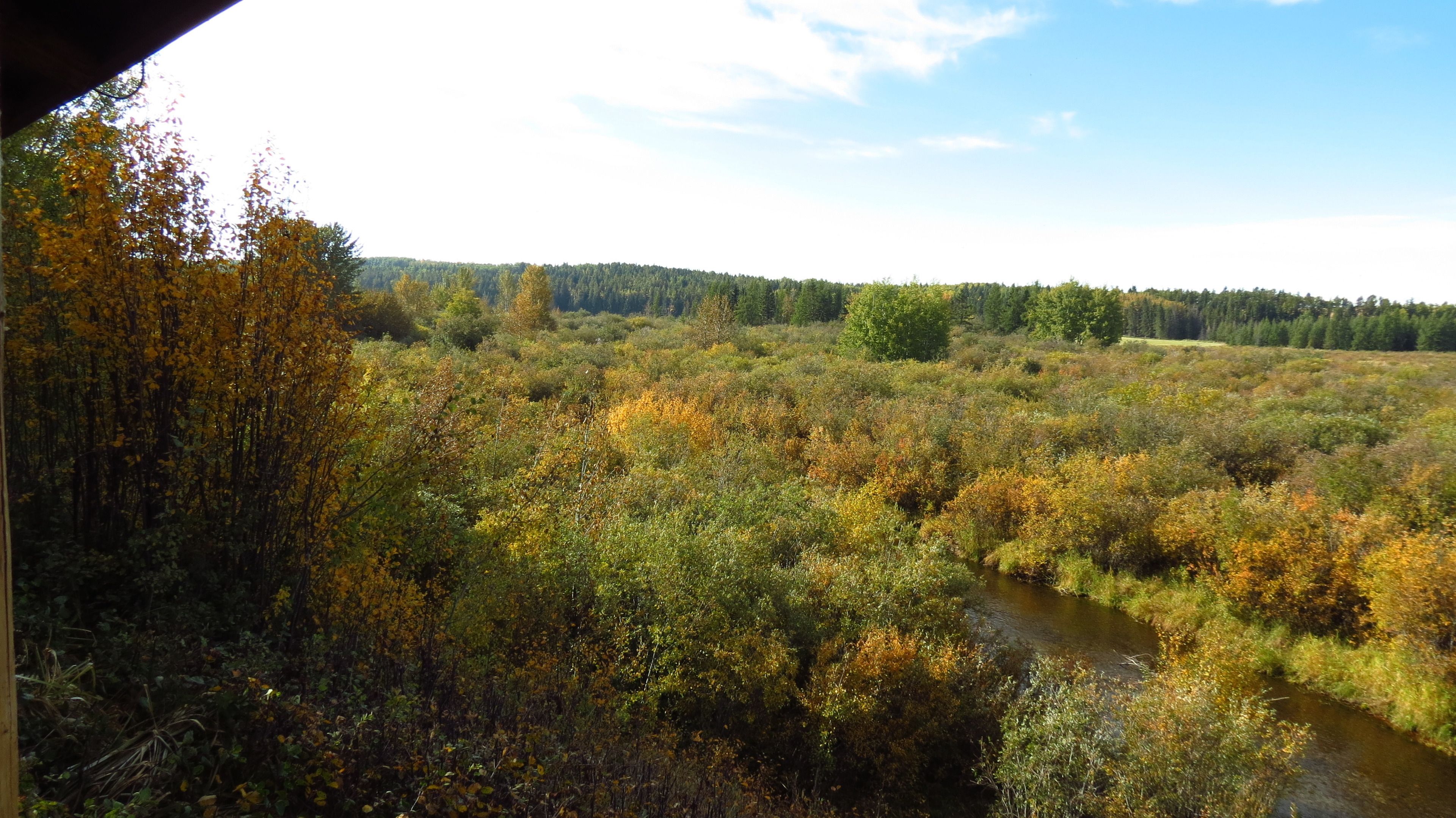 A natural landscape with a river, dense vegetation, and a forest in the background.